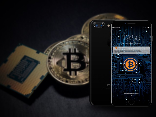 Bircoin wallet på mobil